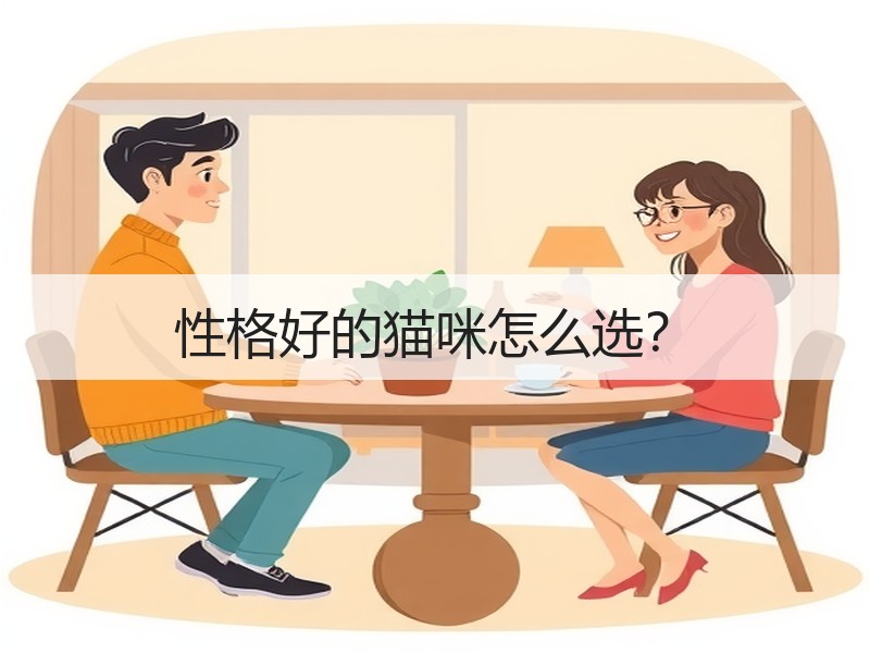 性格好的猫咪怎么选？