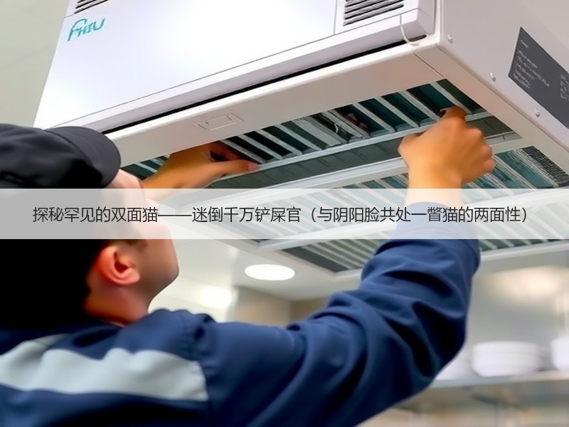 探秘罕见的双面猫——迷倒千万铲屎官（与阴阳脸共处一瞥猫的两面性）