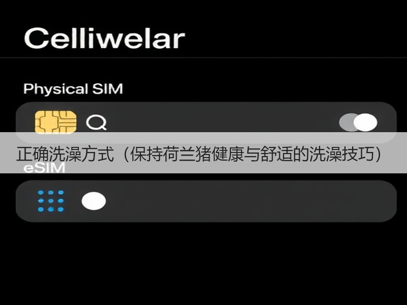 正确洗澡方式（保持荷兰猪健康与舒适的洗澡技巧）