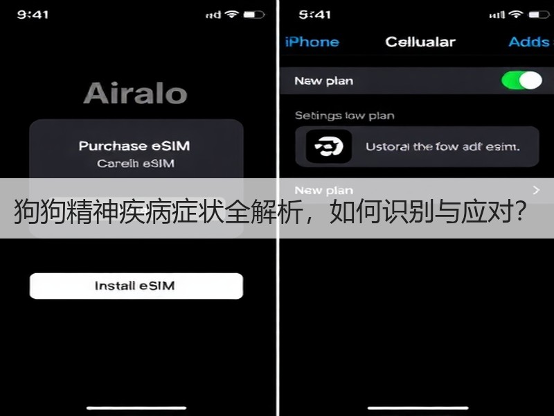 狗狗精神疾病症状全解析，如何识别与应对？