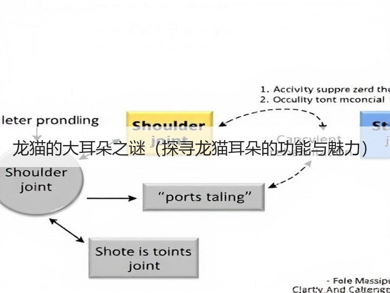 龙猫的大耳朵之谜（探寻龙猫耳朵的功能与魅力）