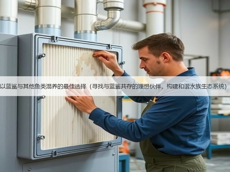 以蓝鲨与其他鱼类混养的最佳选择（寻找与蓝鲨共存的理想伙伴，构建和谐水族生态系统）