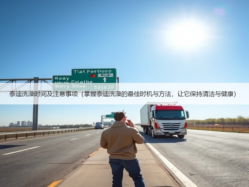 泰迪洗澡时间及注意事项（掌握泰迪洗澡的最佳时机与方法，让它保持清洁与健康）