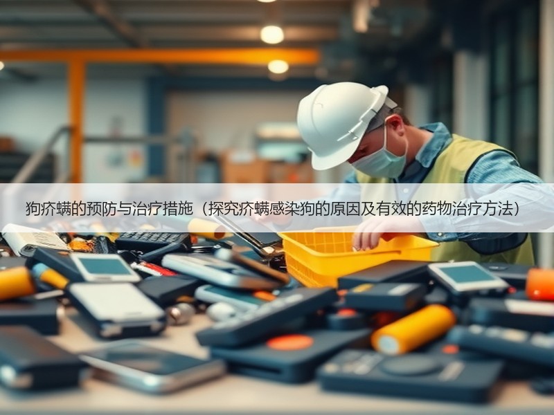 狗疥螨的预防与治疗措施（探究疥螨感染狗的原因及有效的药物治疗方法）
