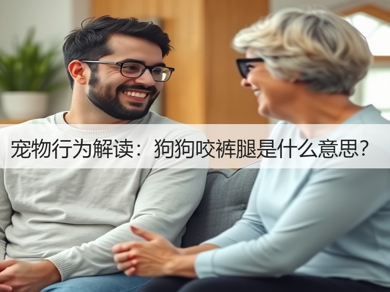 宠物行为解读：狗狗咬裤腿是什么意思？
