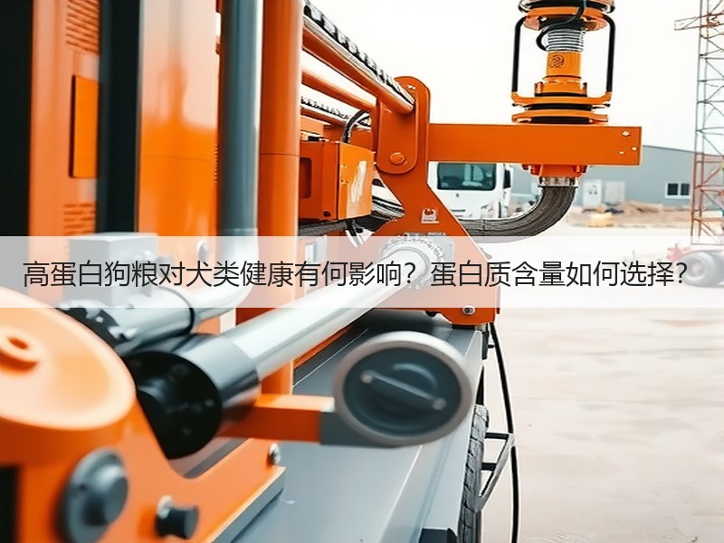 高蛋白狗粮对犬类健康有何影响？蛋白质含量如何选择？