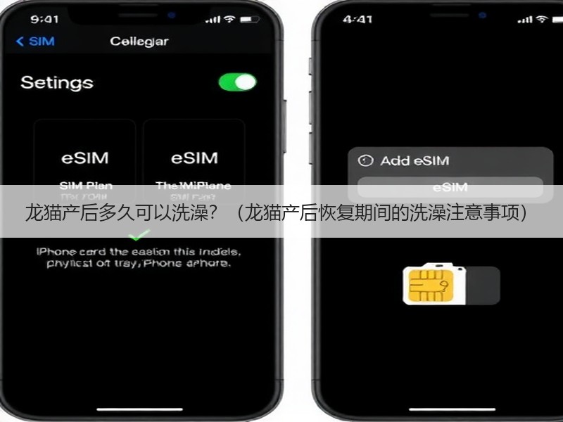 龙猫产后多久可以洗澡？（龙猫产后恢复期间的洗澡注意事项）