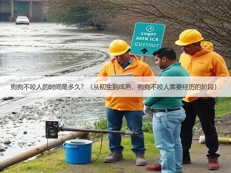 狗狗不咬人的时间是多久？（从初生到成熟，狗狗不咬人需要经历的阶段）