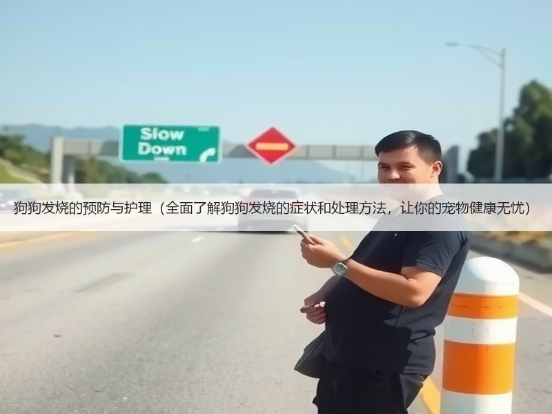 狗狗发烧的预防与护理（全面了解狗狗发烧的症状和处理方法，让你的宠物健康无忧）