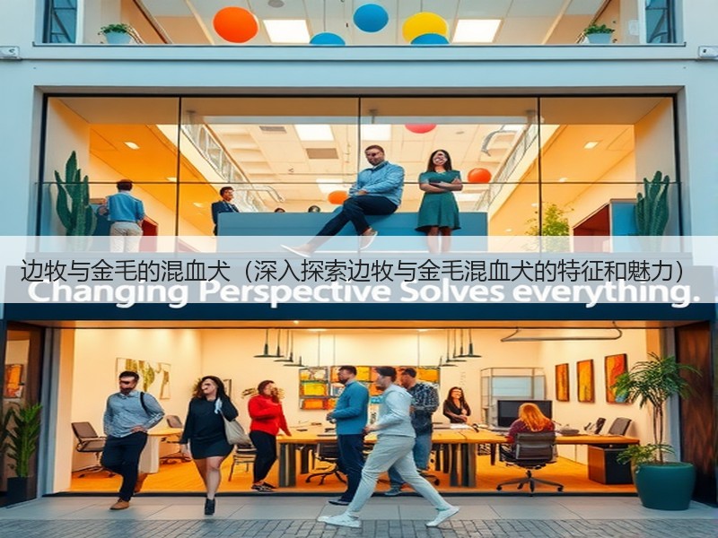 边牧与金毛的混血犬（深入探索边牧与金毛混血犬的特征和魅力）