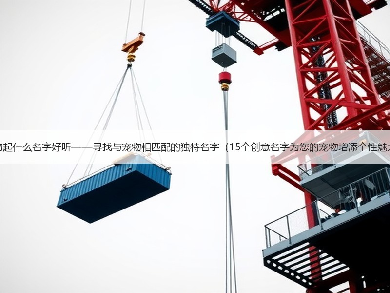 宠物起什么名字好听——寻找与宠物相匹配的独特名字（15个创意名字为您的宠物增添个性魅力）