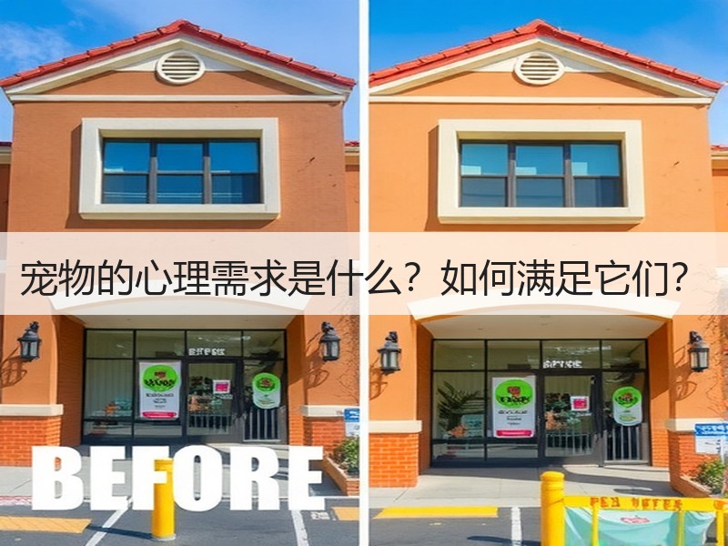宠物的心理需求是什么？如何满足它们？