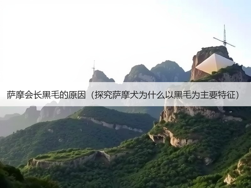 萨摩会长黑毛的原因（探究萨摩犬为什么以黑毛为主要特征）