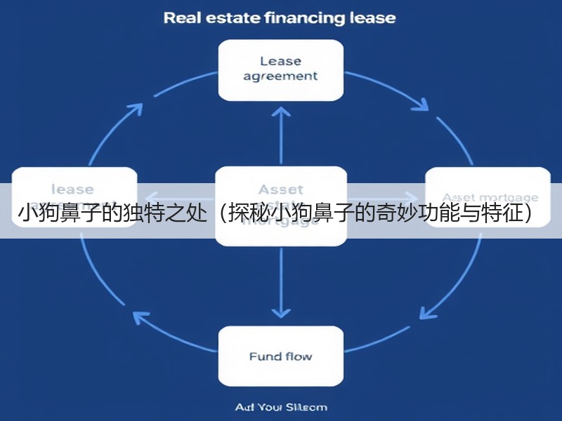小狗鼻子的独特之处（探秘小狗鼻子的奇妙功能与特征）