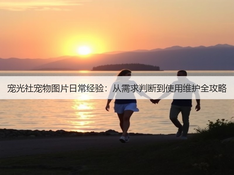 宠光社宠物图片日常经验：从需求判断到使用维护全攻略