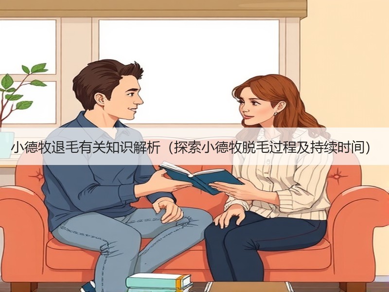 小德牧退毛有关知识解析（探索小德牧脱毛过程及持续时间）