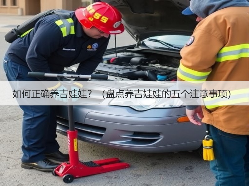 如何正确养吉娃娃？（盘点养吉娃娃的五个注意事项）