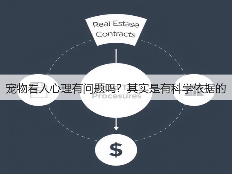 宠物看人心理有问题吗？其实是有科学依据的