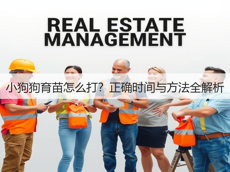 小狗狗育苗怎么打？正确时间与方法全解析