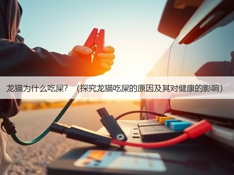 龙猫为什么吃屎？（探究龙猫吃屎的原因及其对健康的影响）