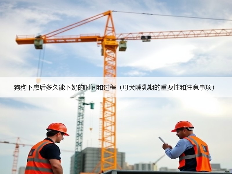 狗狗下崽后多久能下奶的时间和过程（母犬哺乳期的重要性和注意事项）