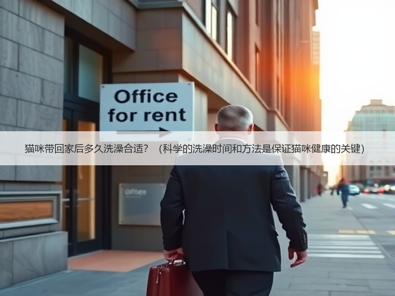 猫咪带回家后多久洗澡合适？（科学的洗澡时间和方法是保证猫咪健康的关键）