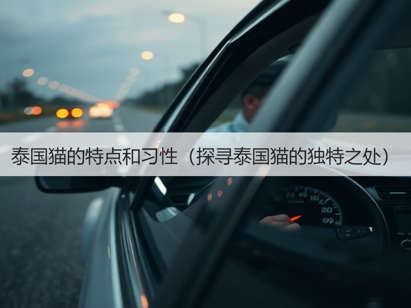 泰国猫的特点和习性（探寻泰国猫的独特之处）