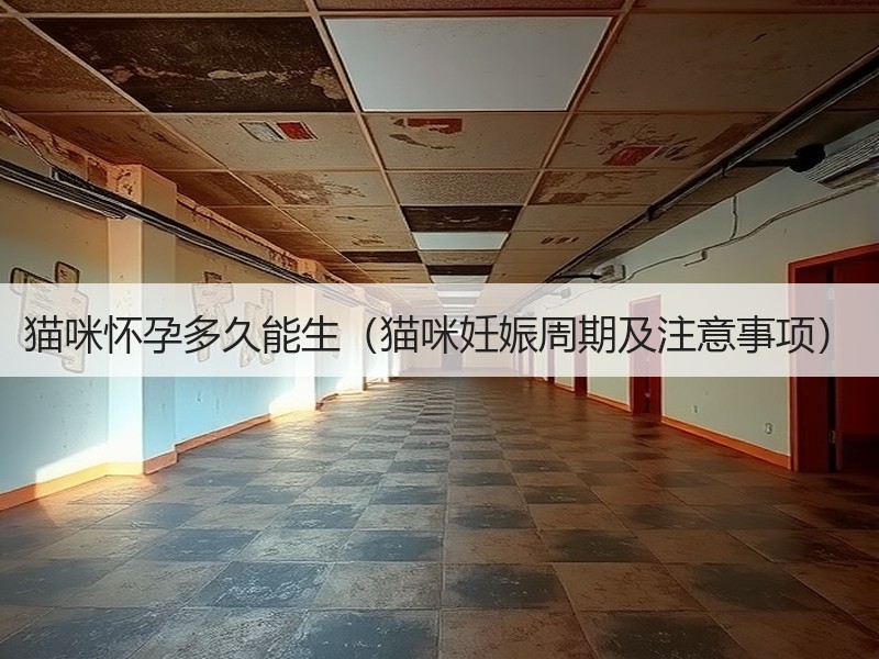 猫咪怀孕多久能生（猫咪妊娠周期及注意事项）