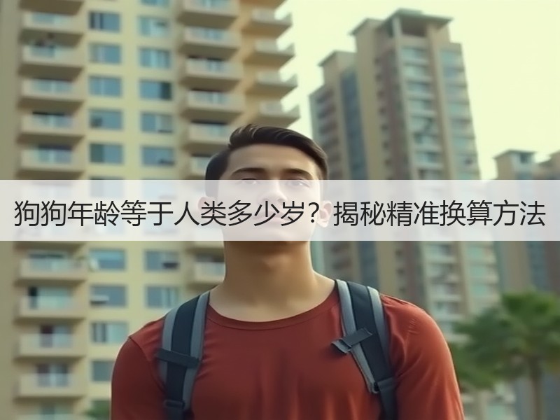 狗狗年龄等于人类多少岁？揭秘精准换算方法