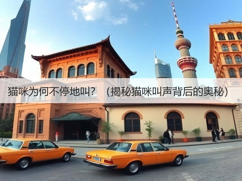 猫咪为何不停地叫？（揭秘猫咪叫声背后的奥秘）