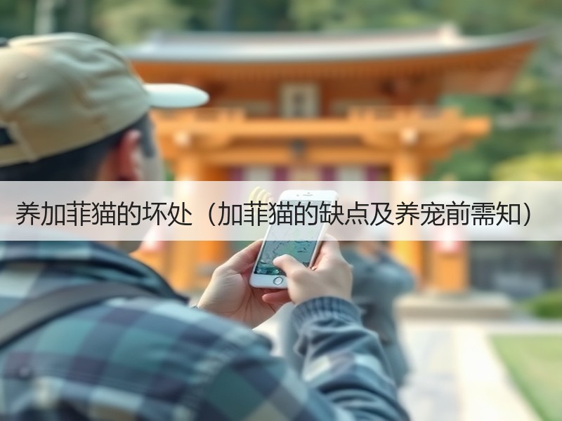 养加菲猫的坏处（加菲猫的缺点及养宠前需知）