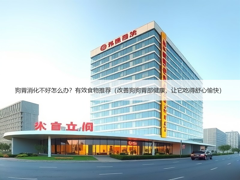 狗胃消化不好怎么办？有效食物推荐（改善狗狗胃部健康，让它吃得舒心愉快）
