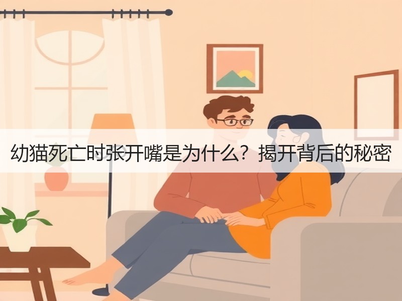 幼猫死亡时张开嘴是为什么？揭开背后的秘密