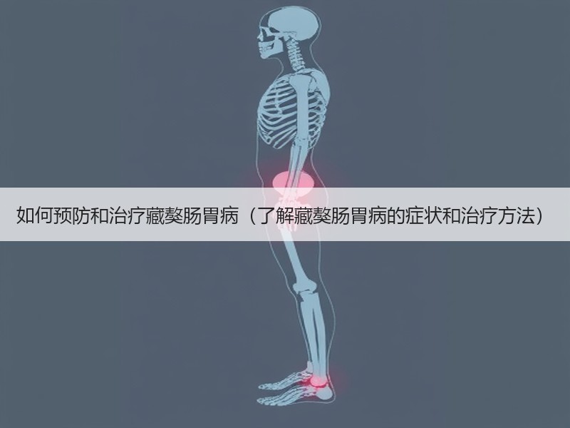 如何预防和治疗藏獒肠胃病（了解藏獒肠胃病的症状和治疗方法）