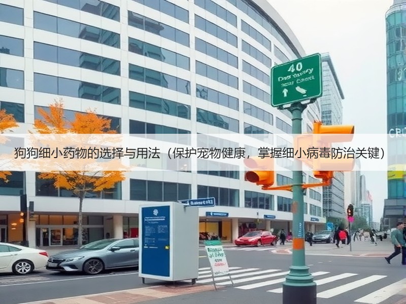 狗狗细小药物的选择与用法（保护宠物健康，掌握细小病毒防治关键）