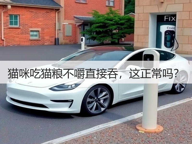 猫咪吃猫粮不嚼直接吞，这正常吗？