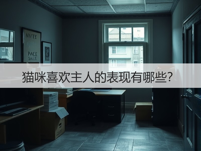 猫咪喜欢主人的表现有哪些？