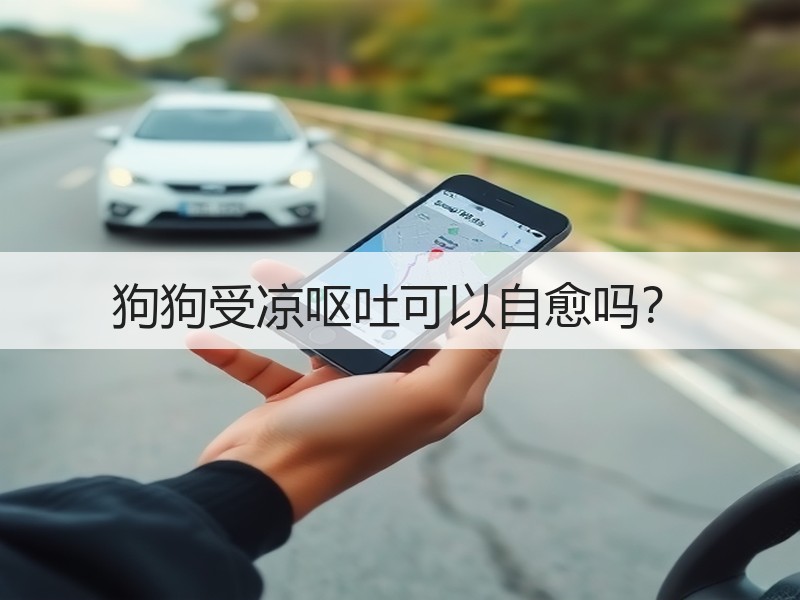 狗狗受凉呕吐可以自愈吗？