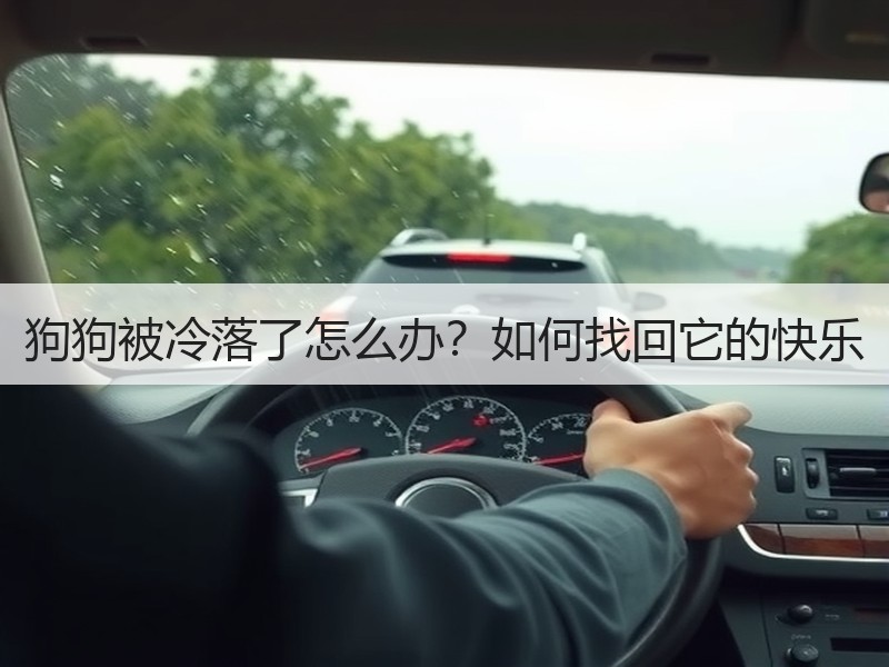 狗狗被冷落了怎么办？如何找回它的快乐