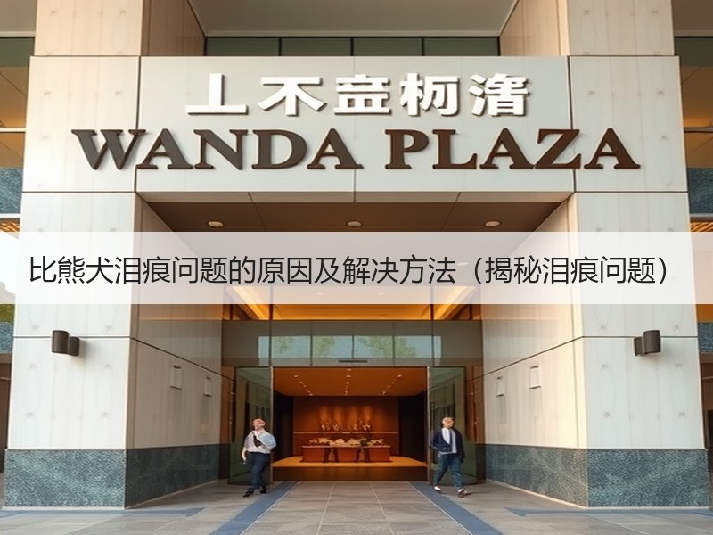比熊犬泪痕问题的原因及解决方法（揭秘泪痕问题）