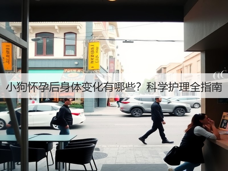 小狗怀孕后身体变化有哪些？科学护理全指南