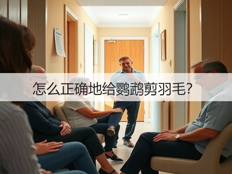 怎么正确地给鹦鹉剪羽毛？
