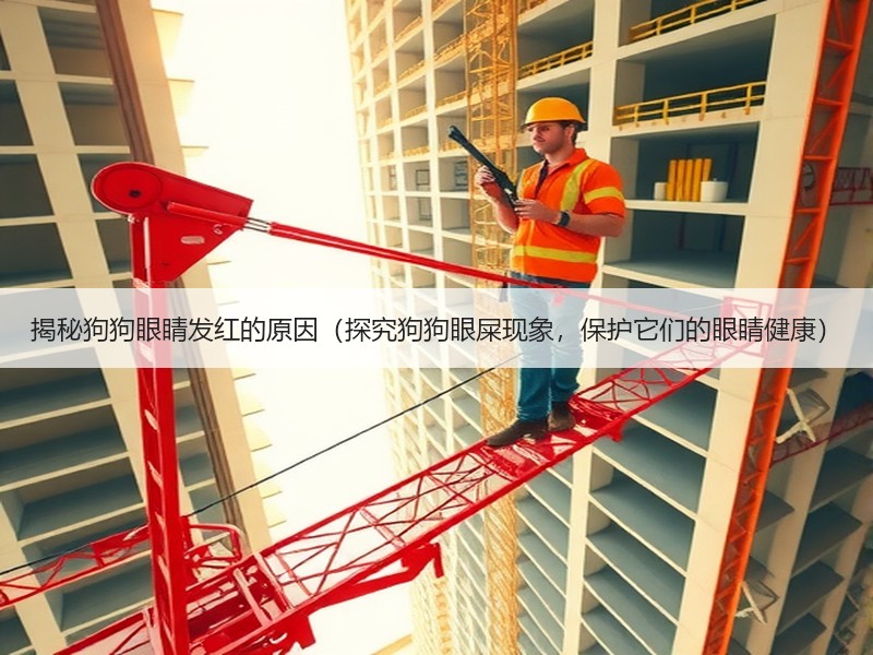 揭秘狗狗眼睛发红的原因（探究狗狗眼屎现象，保护它们的眼睛健康）