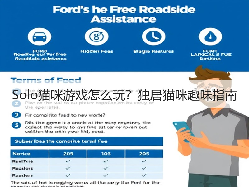 Solo猫咪游戏怎么玩？独居猫咪趣味指南