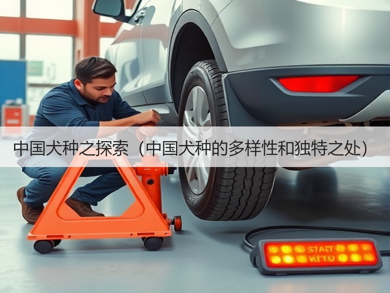 中国犬种之探索（中国犬种的多样性和独特之处）