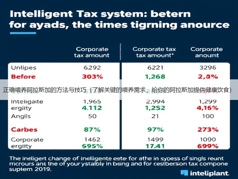 正确喂养阿拉斯加的方法与技巧（了解关键的喂养需求，给你的阿拉斯加提供健康饮食）
