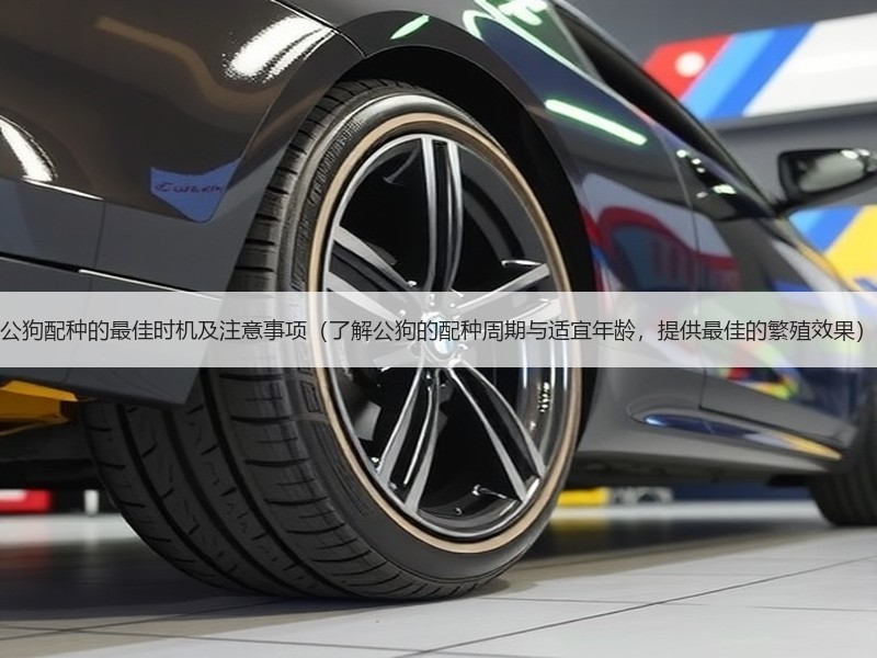 公狗配种的最佳时机及注意事项（了解公狗的配种周期与适宜年龄，提供最佳的繁殖效果）