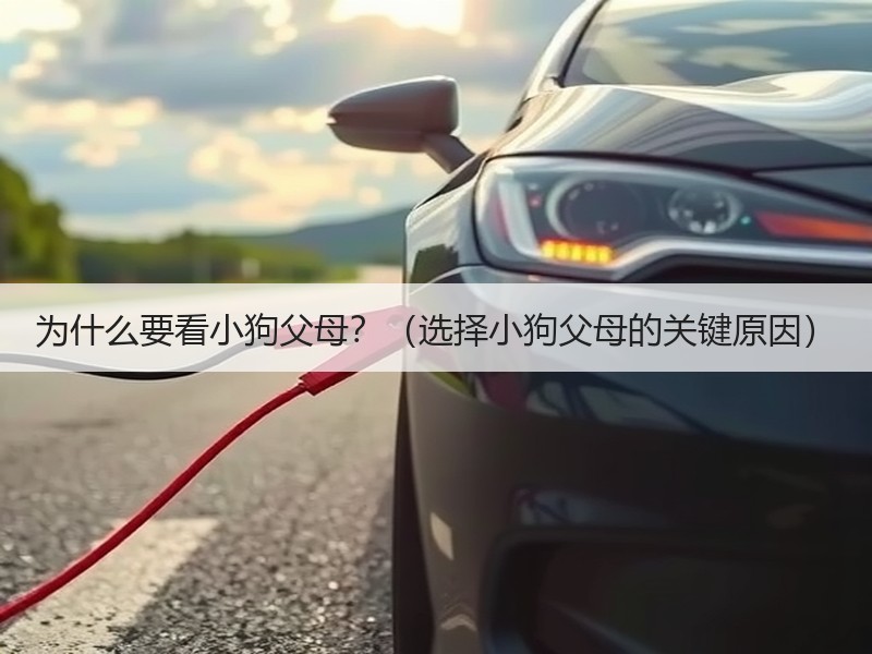 为什么要看小狗父母？（选择小狗父母的关键原因）