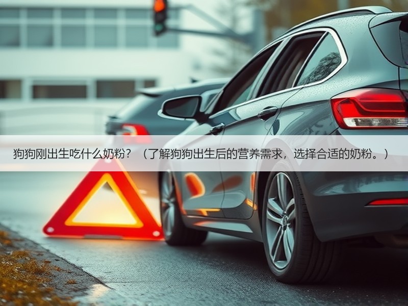 狗狗刚出生吃什么奶粉？（了解狗狗出生后的营养需求，选择合适的奶粉。）