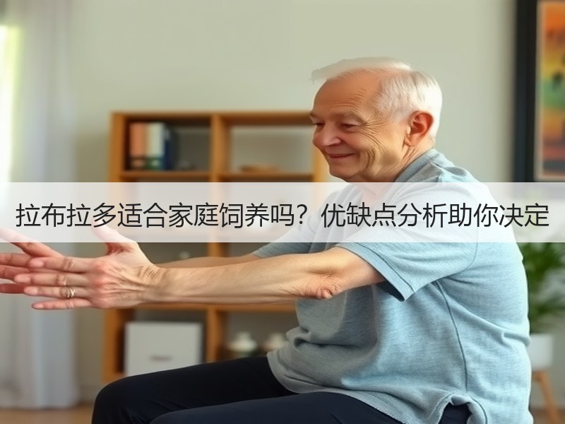 拉布拉多适合家庭饲养吗？优缺点分析助你决定